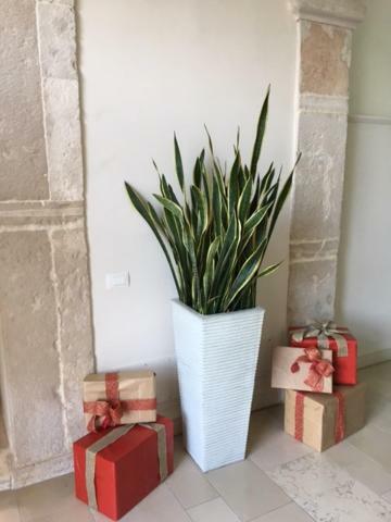 Villa Fornari Resort Bisceglie Eksteriør billede